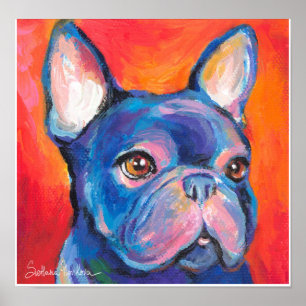 Buldogue francês que pinta o poster de Svetlana