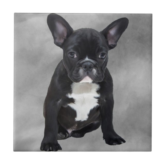 Buldogue Francês Sentado Aquarela Pintura Óleo (Frente)