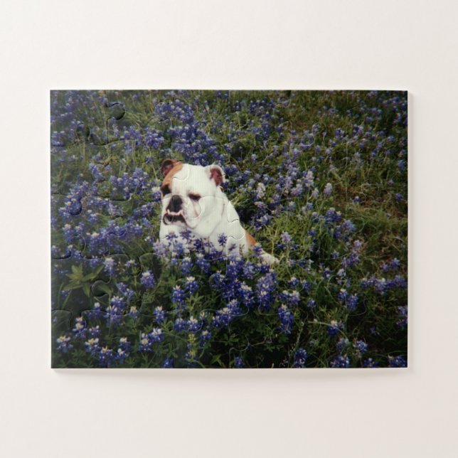 Buldogue Inglês no Texas Bluebonnets Quebra-cabeça (Horizontal)