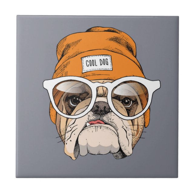 Buldogue legal do hipster (Frente)