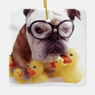 **BULL DOG COM PATOS DE BORRACHA** ENFEITE DE NATA