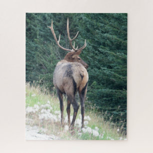 Bull Elk Jigsee Quebra-cabeça