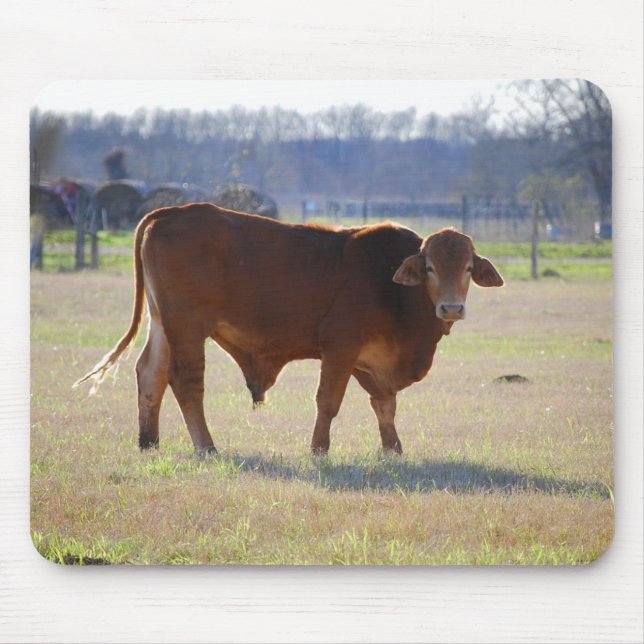 Bull em seu Mousepad Campo (Frente)