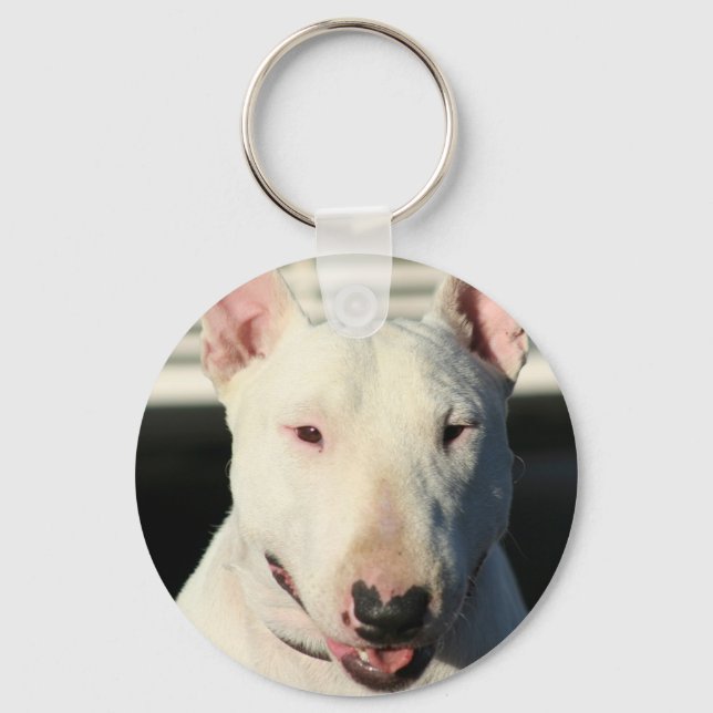 Bull Terrier chaveiro (Frente)