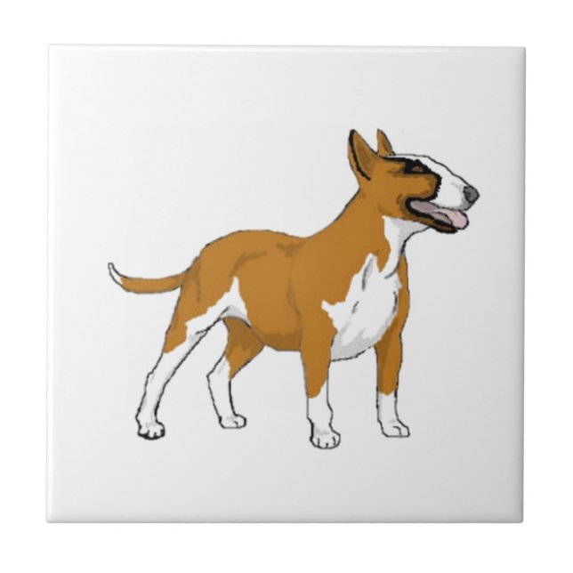 Bull Terrier — Colorido (Frente)