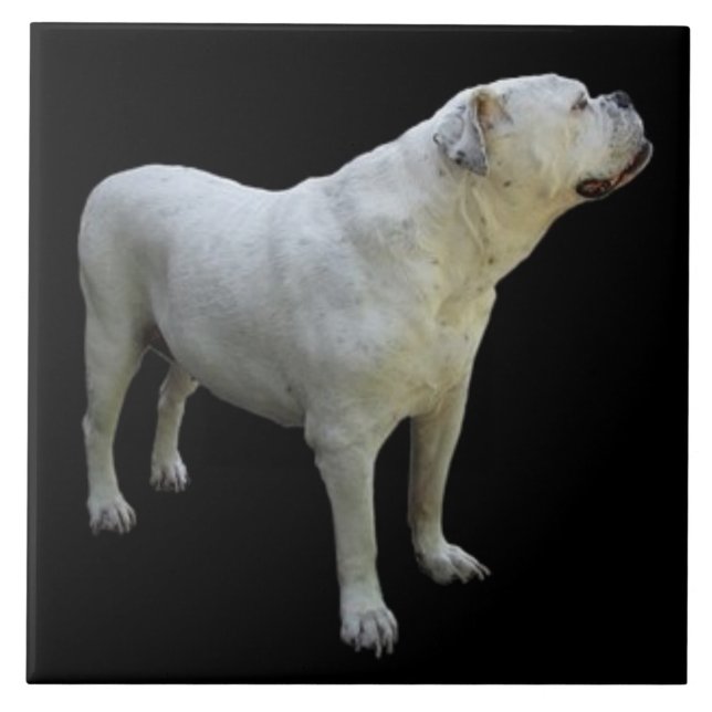 BULLDOG 1, Pet Love, Best Frial KEEPSAKE (Frente)