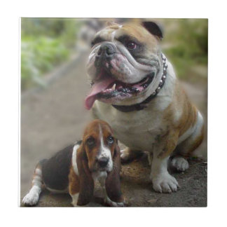 Bulldog & BabyBassett - of aware my best friend