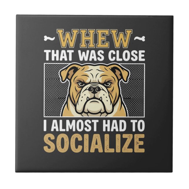 Bulldog Engraçado Socializar Cachorro (Frente)