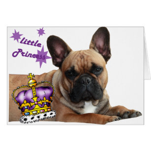 Bulldog francês cartão