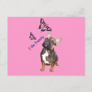 Bulldog francês cartão postal