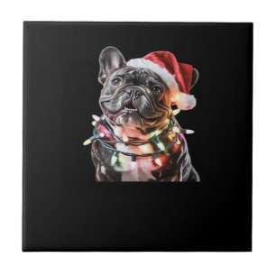 Bulldog Francês em Chapéu de Papai Noel Envolvido