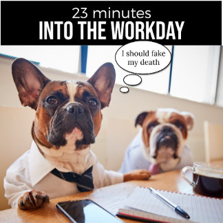 Bulldog Francês Eu Deveria Fingir Minha Camisa Da