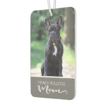 Bulldog Francês Insere Imagem do Cachorro