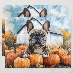 Bulldog Francês no Papel de Pumpkin Patch