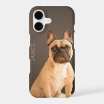 Bulldog Francês Nome Personalizado | Cachorro