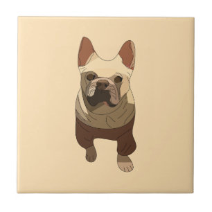 Bulldog Francês, Pêssego Suave