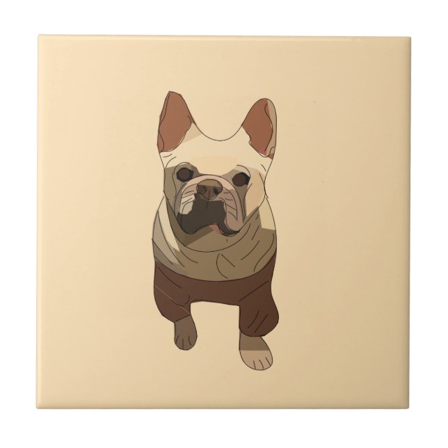 Bulldog Francês, Pêssego Suave (Frente)