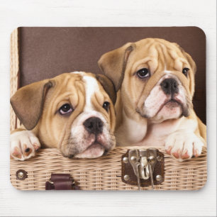 Bulldog Inglês - Mousepad
