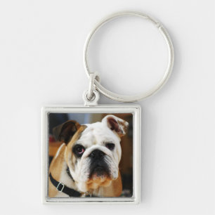 Bulldog Premium Chaveiro