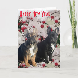 Bulldogs franceses cartão postal Happy Year New