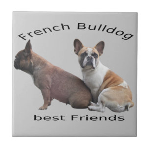 Bulldogs franceses lajota