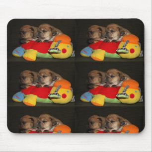 Bulldogs franceses Mousepad