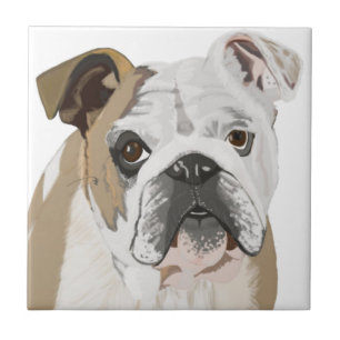 Bulldogue Britânico com Union Jack