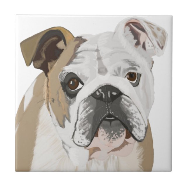 Bulldogue Britânico com Union Jack (Frente)