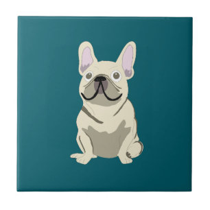 Bulldogue Francês Creme