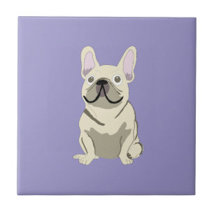 Bulldogue Francês Creme,