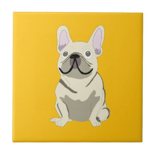 Bulldogue Francês Creme