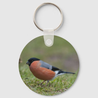 Bullfinch British Bird Chaveiro