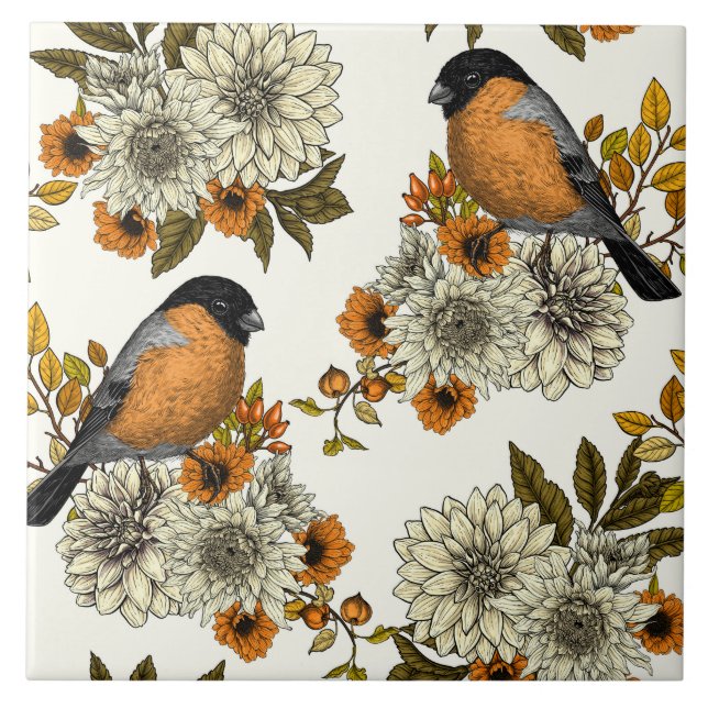 Bullfinch nas florais do outono 2 (Frente)