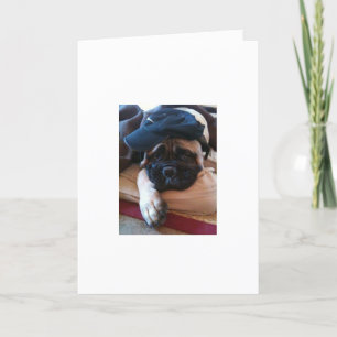 Bullmastiff eu sou cartão ou convite pesaroso