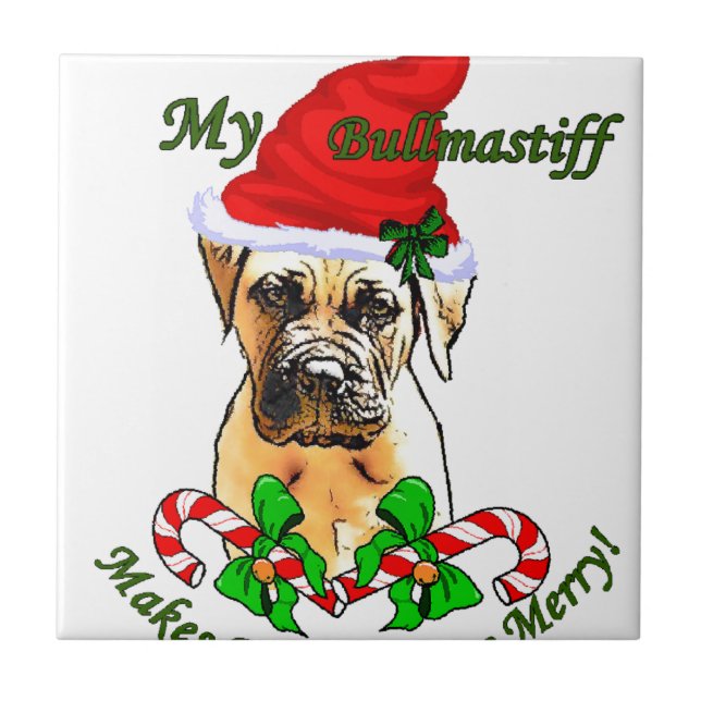 Bullmastiff Natal (Frente)