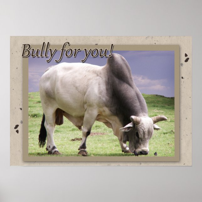 Bully Para Você! Brahma Bull Poster Impressão (Frente)