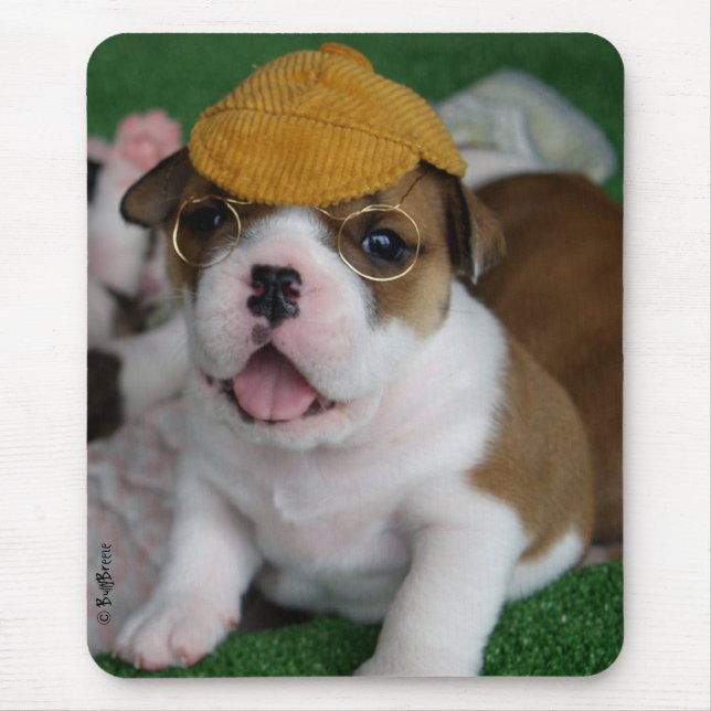 BullyBreeze - frio - Chillin para fora - Mousepad (Frente)