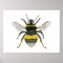 Bumble Bee Poster