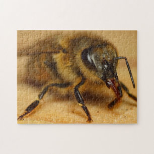 Bumble Bee Quebra-cabeça