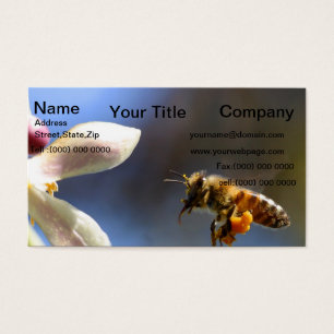 Bumble Bee todas cobertas de pólen de polinização