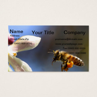 Bumble Bee todas cobertas de pólen de polinização