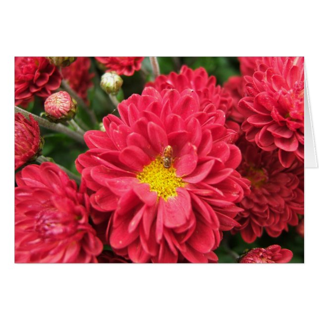 Bumble o cartão vazio da abelha e da flor (Frente Horizontal)