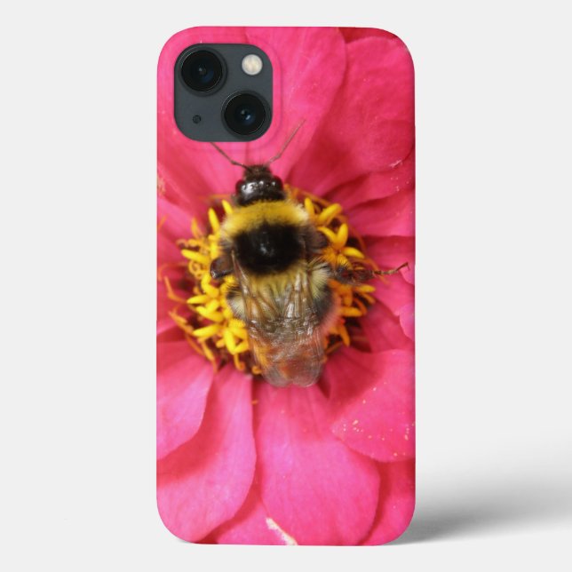 Bumblebee (Verso)