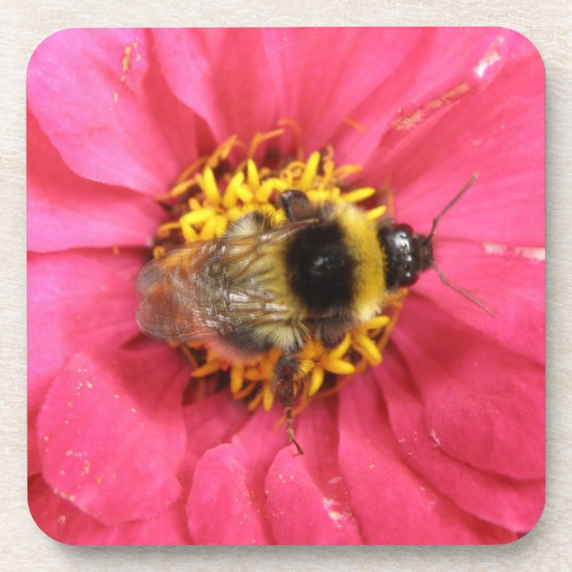 Bumblebee Cork Porta copos (Frente)
