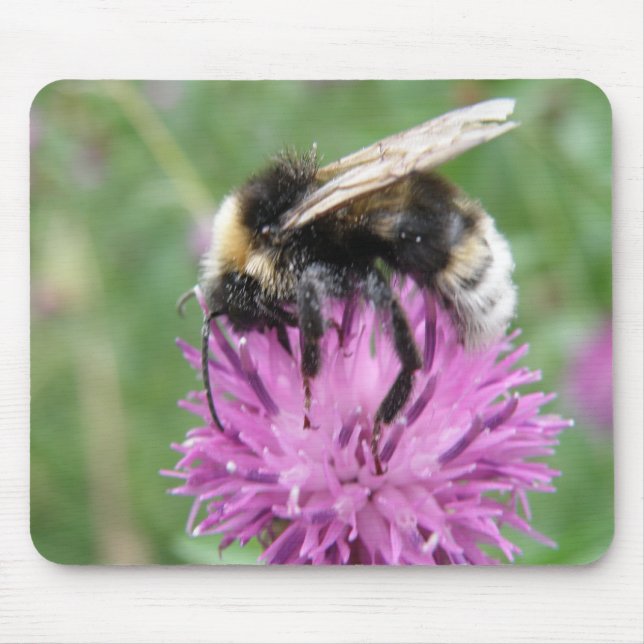 Bumblebee em um Mousepad Thistle (Frente)