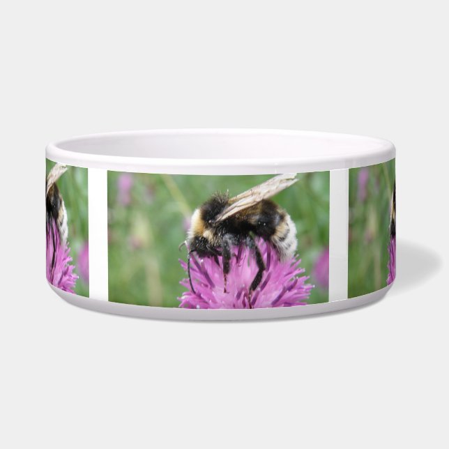 Bumblebee em uma tigela de cachorro (Frente)
