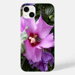 Bumblebee na Flor de Hibiscus