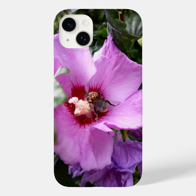 Bumblebee na Flor de Hibiscus (Verso)