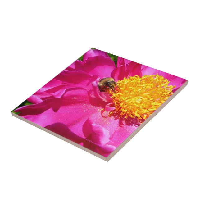 Bumblebee Peony (Lateral)