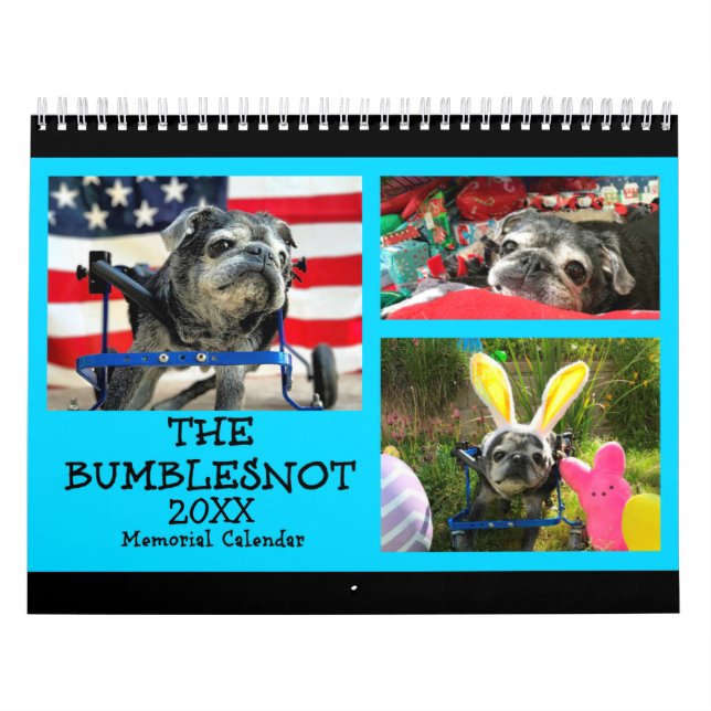 Bumblesnot 2018 calendários memoráveis (Capa)